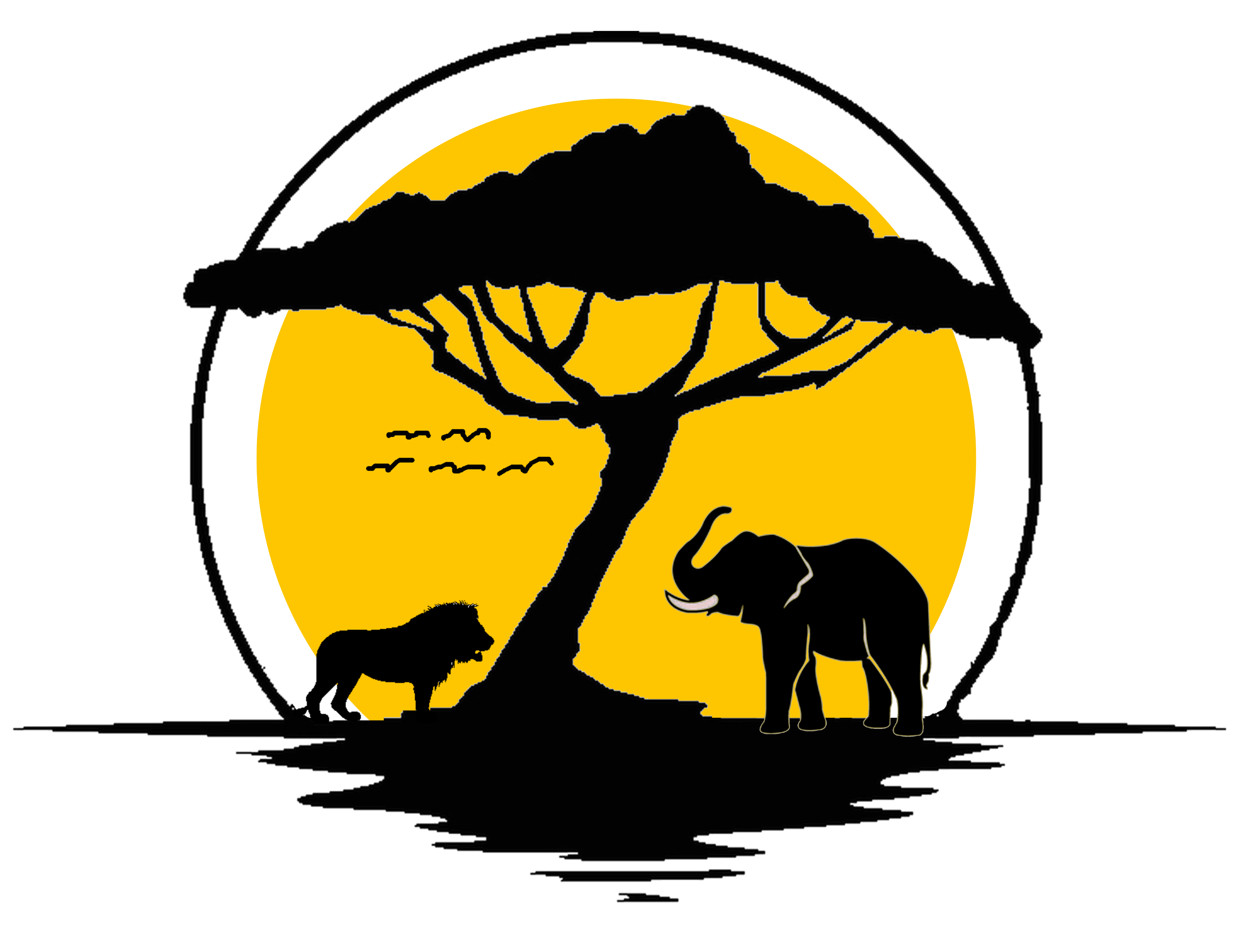 Miss Africa Logo